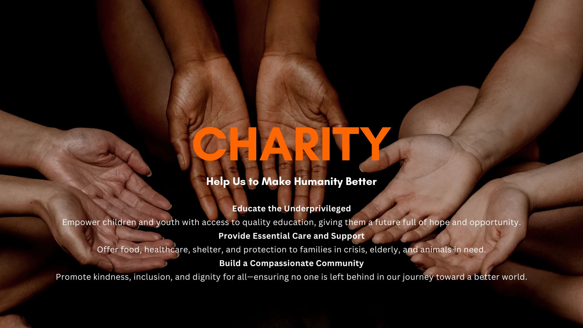 Blue Orange Professional Charity Presentation