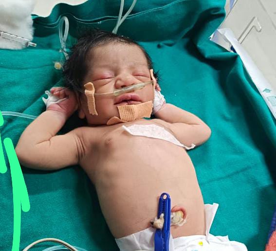 whatsapp image 2026 01 12 at 10.30.53 am (1)